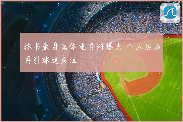 林书豪身高体重资料曝光 个人经历再引球迷关注